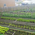 20150714_115451_resized