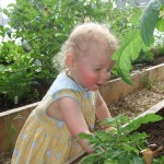 Jardin Collectif 0011